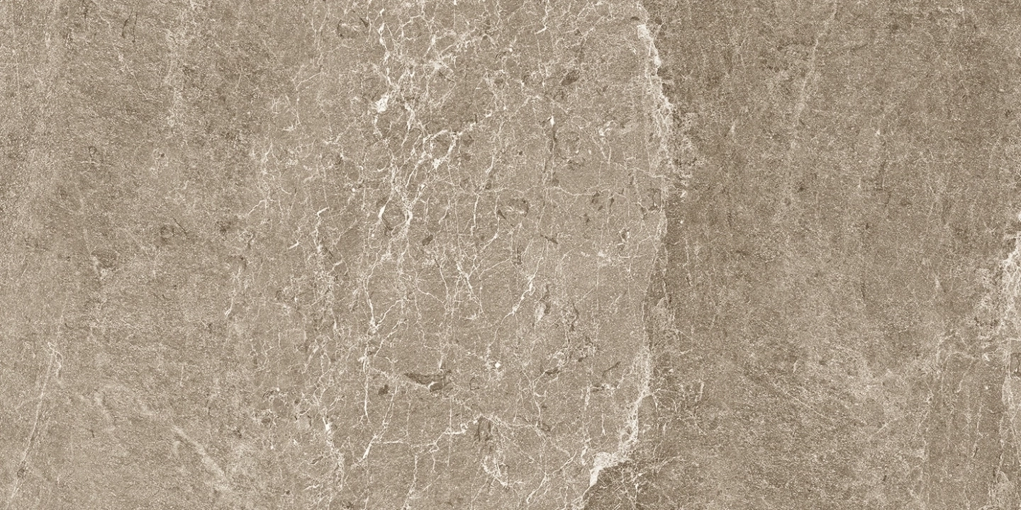 Cotto D'este Advantage Skin Greige naturalna 50x100 cm gr. 4 mm